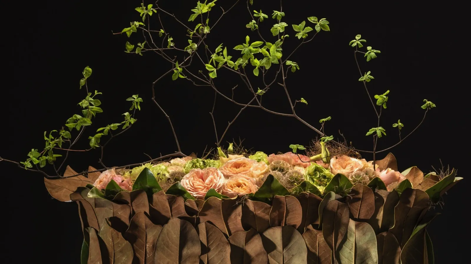 Tom De Houwer & Alumni | Bloemenkunst, Pianoconcert & Brunch